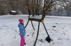 Zimski obisk Arboretuma